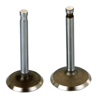 Válvula Admisión Para Harley-Davidson Twin Cam 1999-2004